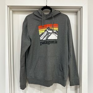 Patagonia Men’s Hoodie M